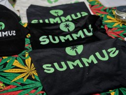 Cannabliss Events